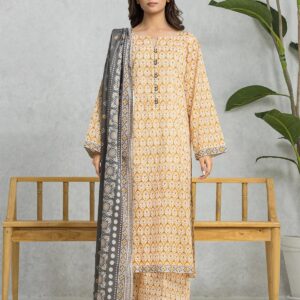 Summer Collection 2025 3piece